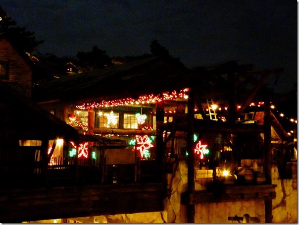 20141107_シーのクリスマスの夜景_063