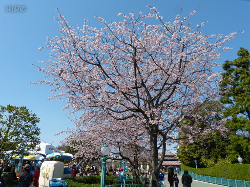 20140323_初春のランド散歩_14.jpg
